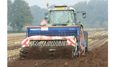 Vang-/rustgewas na mais: de mogelijkheden