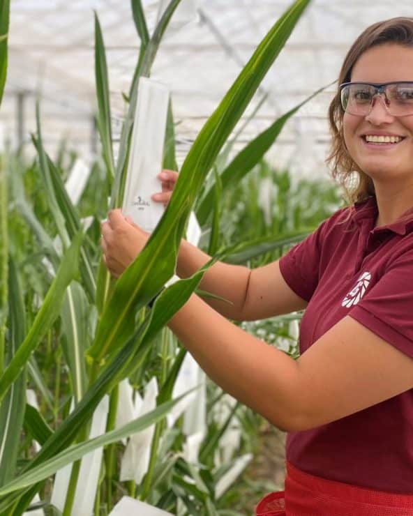 werken bij limagrain nederland